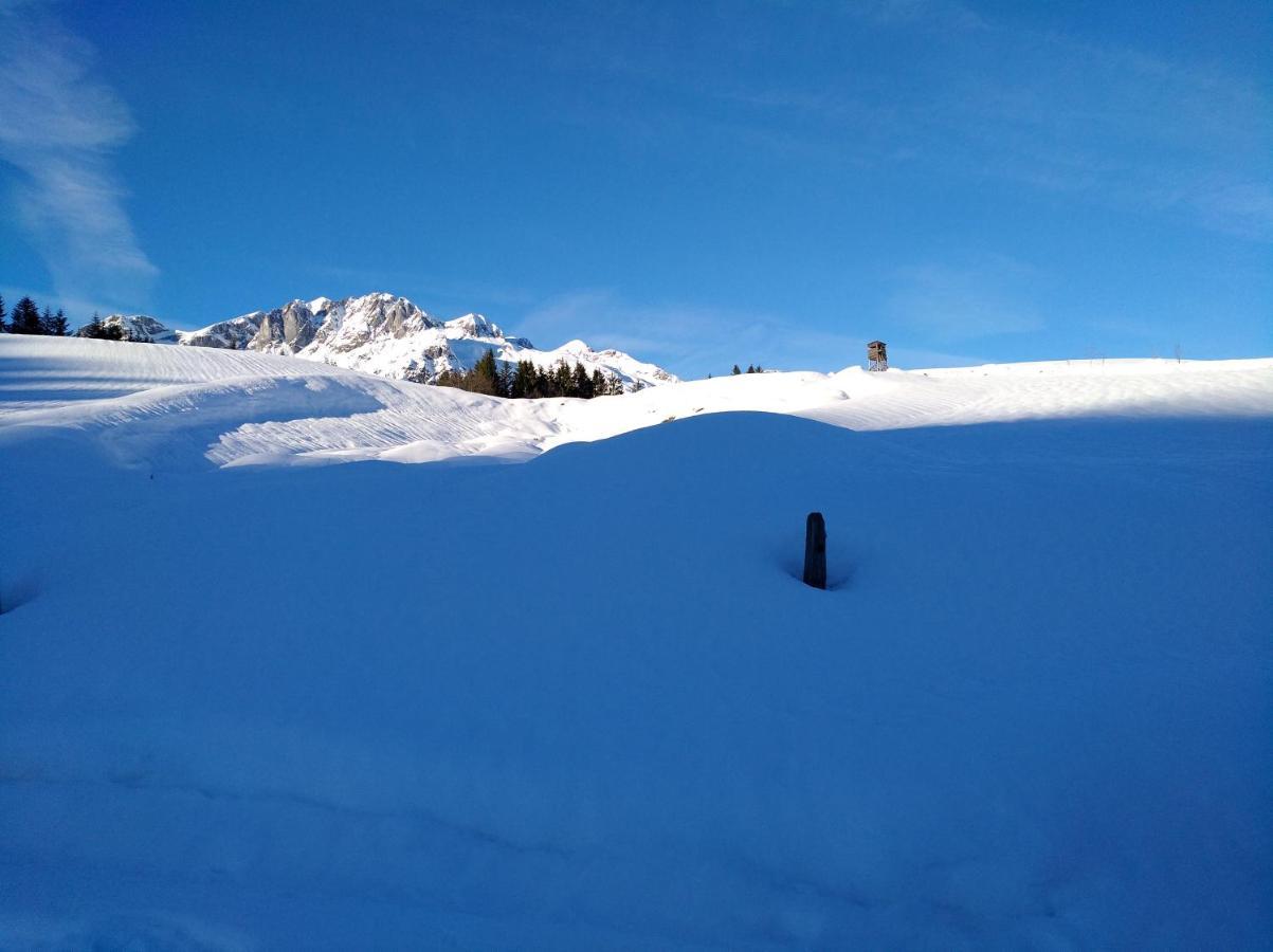 Appartements Haus Bergland Sankt Martin am Tennengebirge Esterno foto