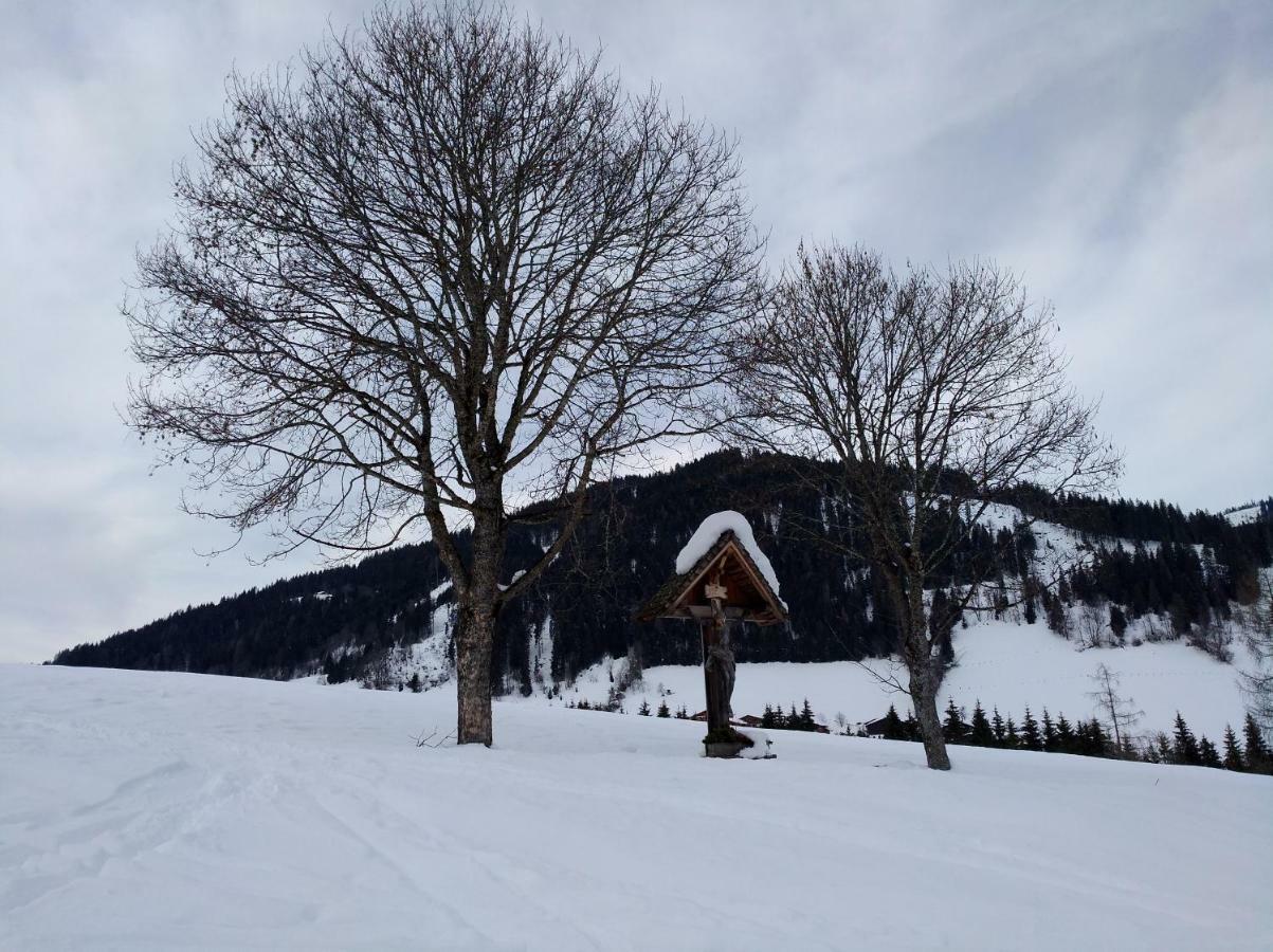Appartements Haus Bergland Sankt Martin am Tennengebirge Esterno foto